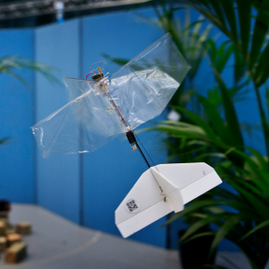 DelFly in Cyberzoo